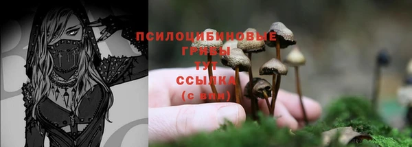 экстази Михайловка
