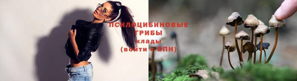 кокс Михайлов