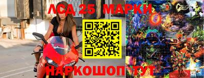гидра Кулебаки
