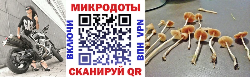 Галлюциногенные грибы мухоморы  Тула 